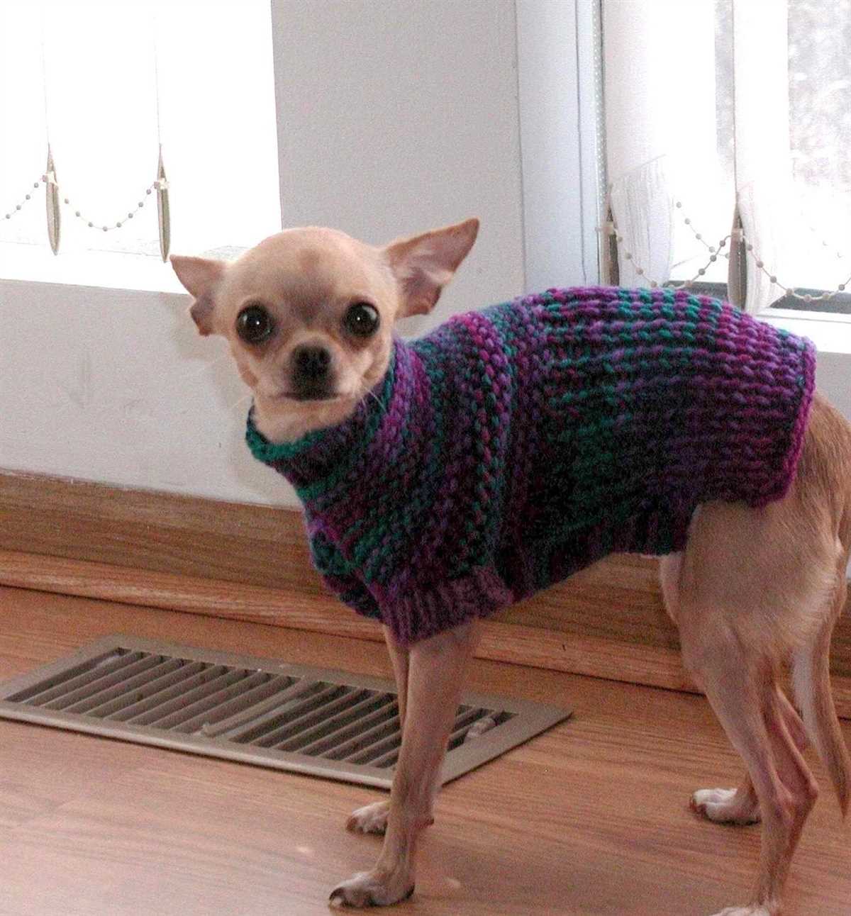 Small dog jumper knitting pattern free
