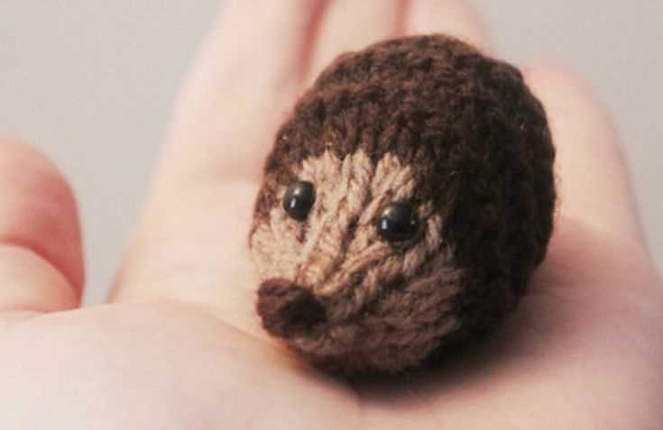 Knitted hedgehogs free patterns