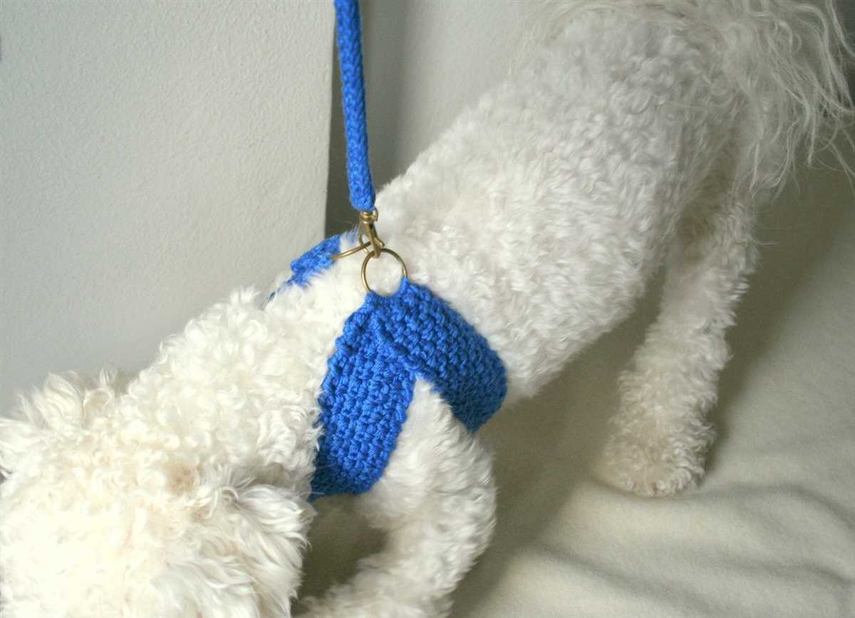 Harness-friendly dog sweater knitting pattern