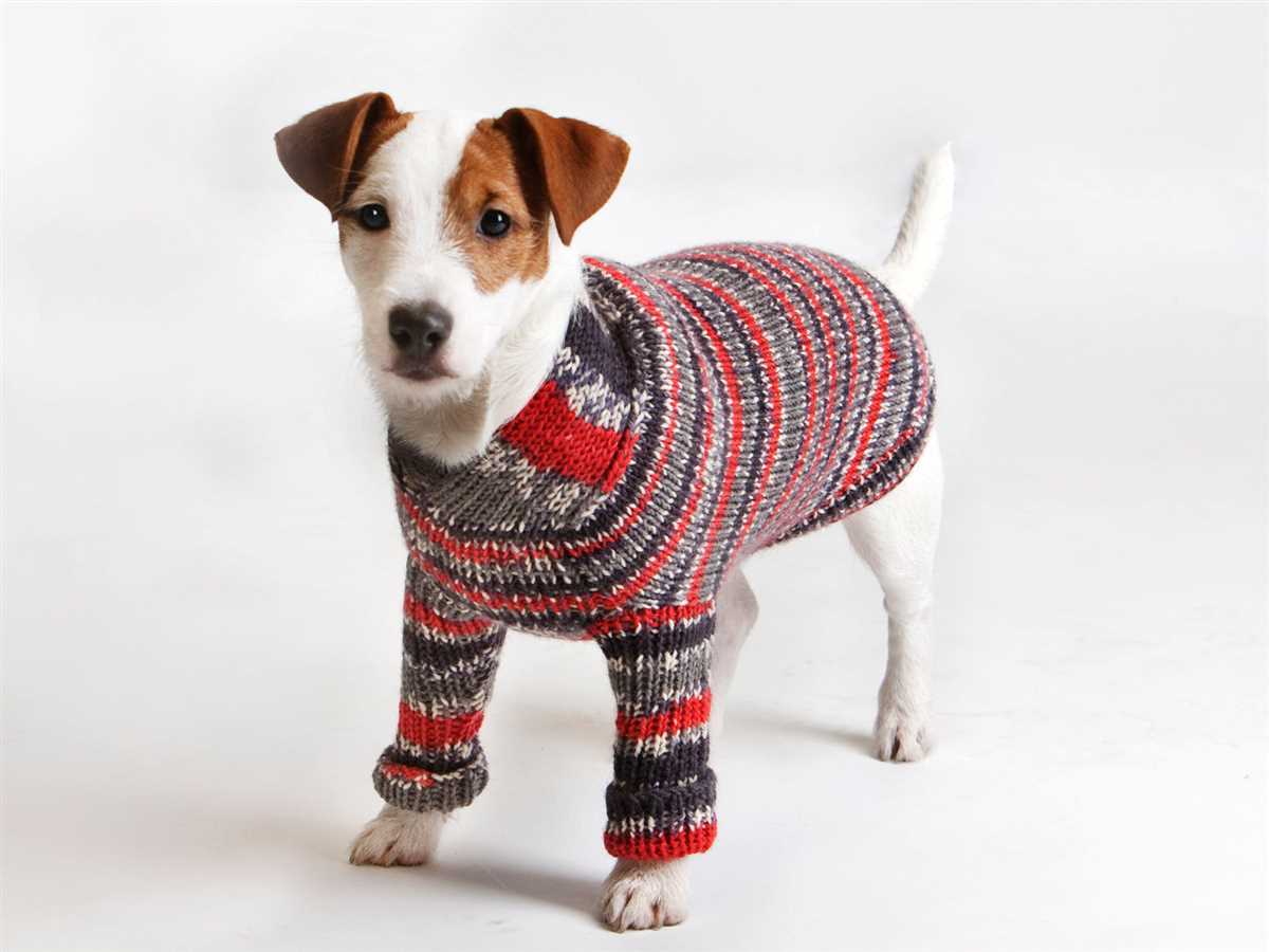 Harness-friendly dog sweater knitting pattern