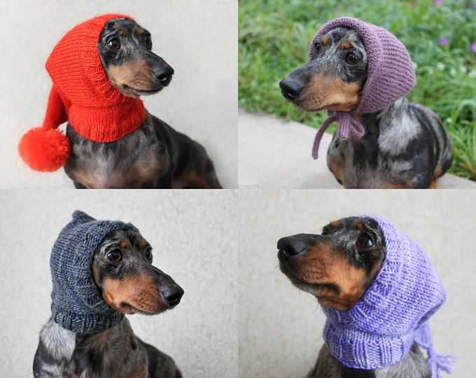 Hats for dogs knitting patterns