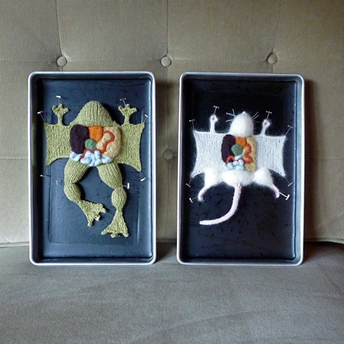 Biology knitting patterns