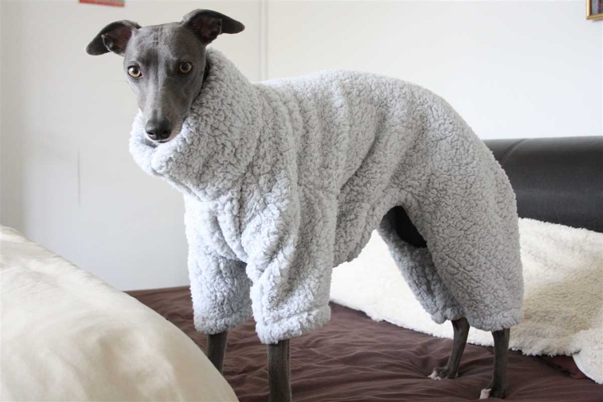 Italian greyhound knitting pattern