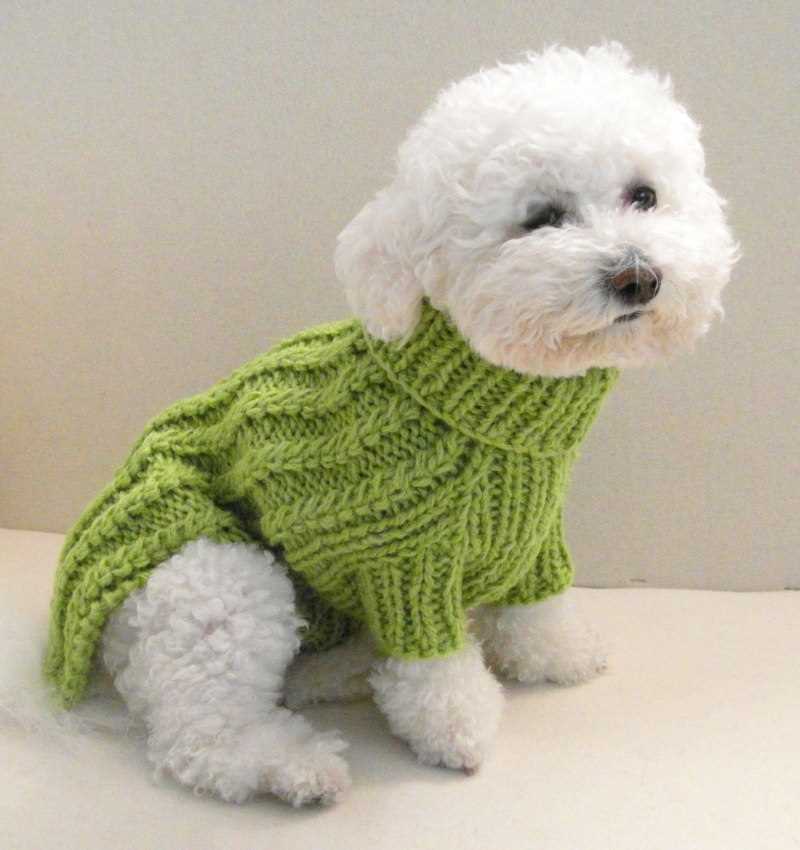Harness-friendly dog sweater knitting pattern