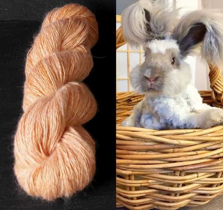Knitting patterns using angora yarn
