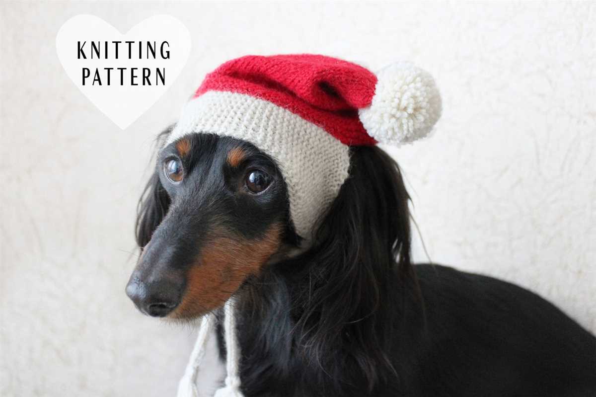 Christmas dog hat knitting pattern