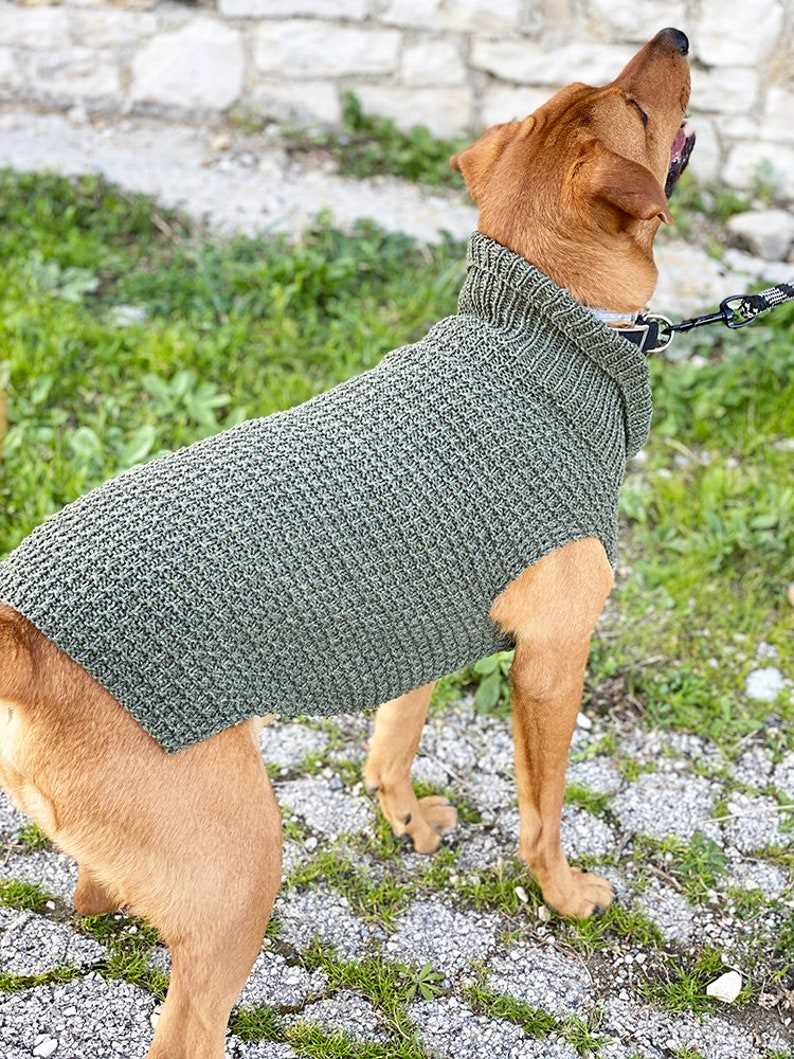 Knit dog jumper pattern