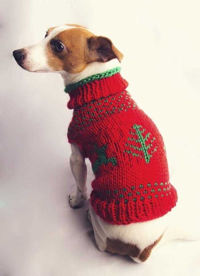 Knit dog jumper pattern
