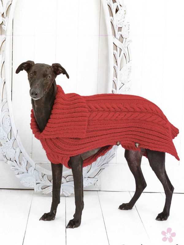 Knit dog jumper pattern