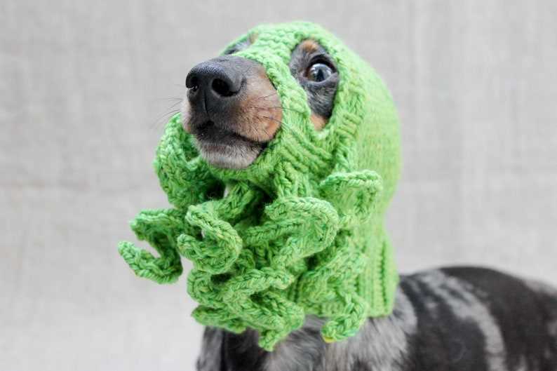 Knit hat for dog pattern