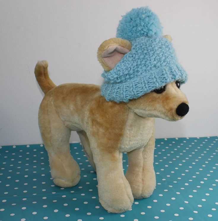 Knit hat for dog pattern
