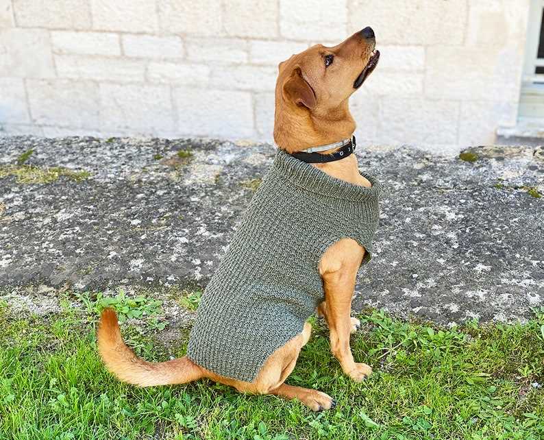 Knit dog jumper pattern