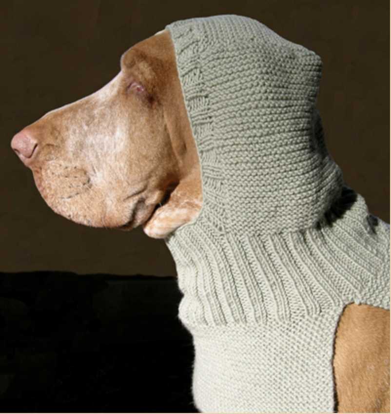 Knit hat for dog pattern