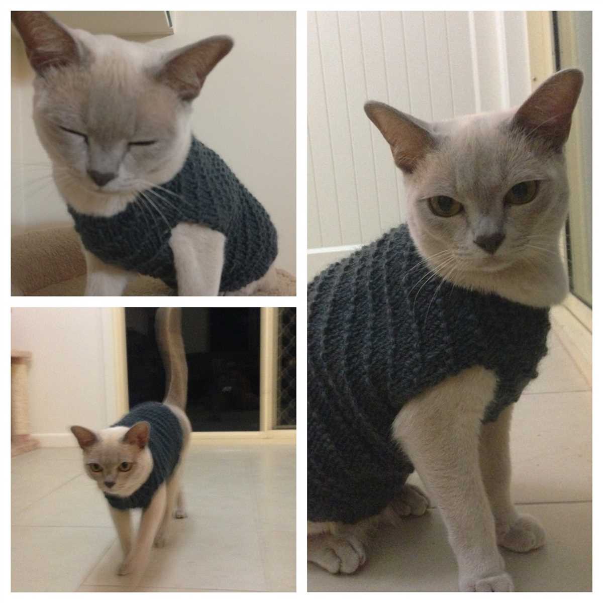 Knitted cat jumper pattern free