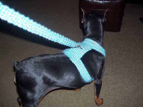 Knitted dog harness pattern