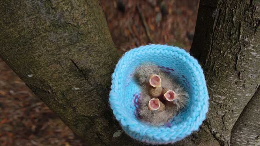 Knitted nest pattern