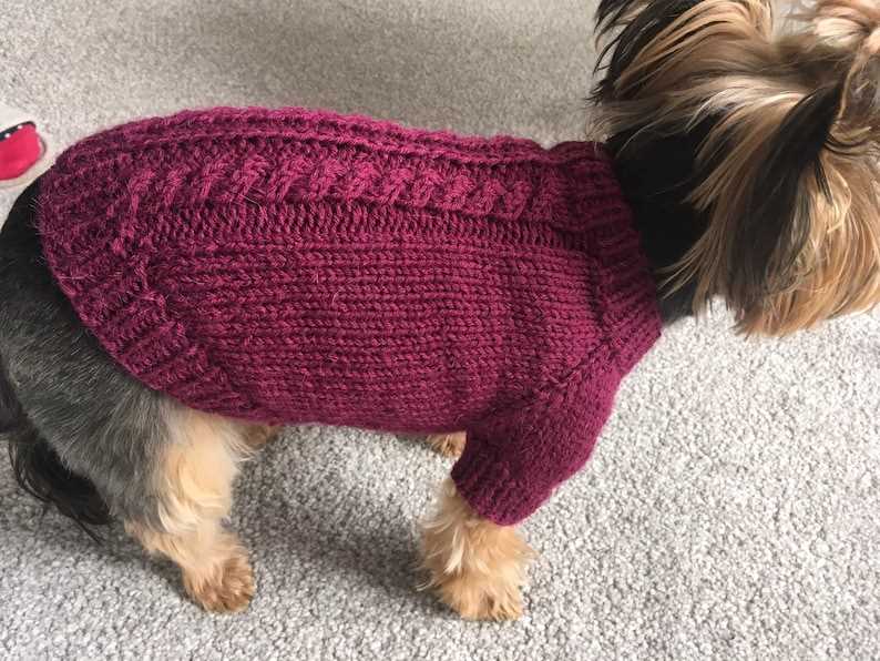 Knitted small dog sweaters free patterns