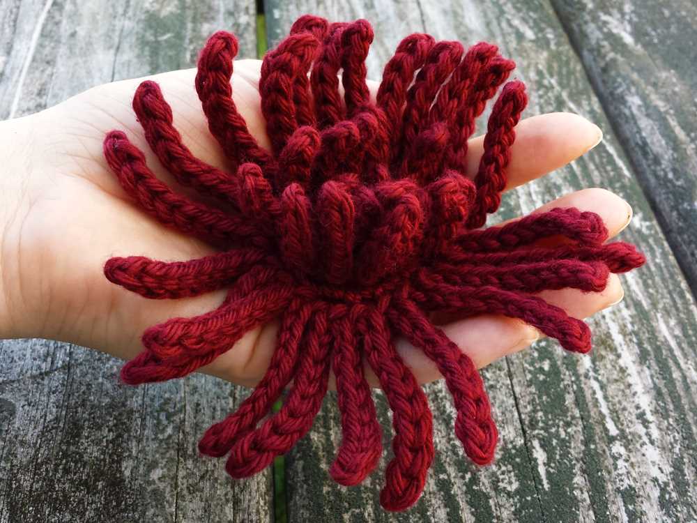Knitted spider pattern free