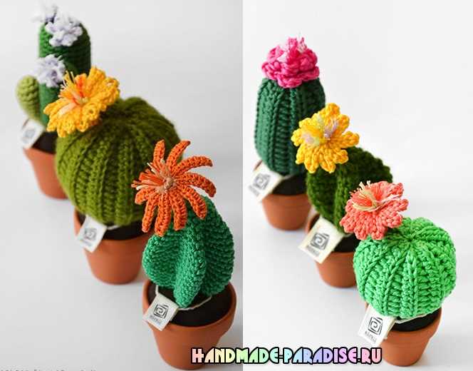 Knitted cactus plant pattern free