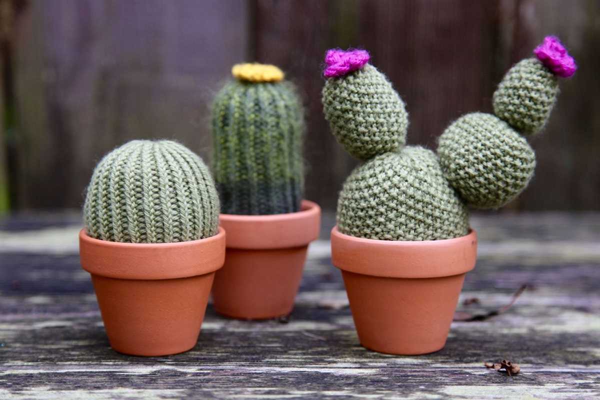 Knitted cactus plant pattern free