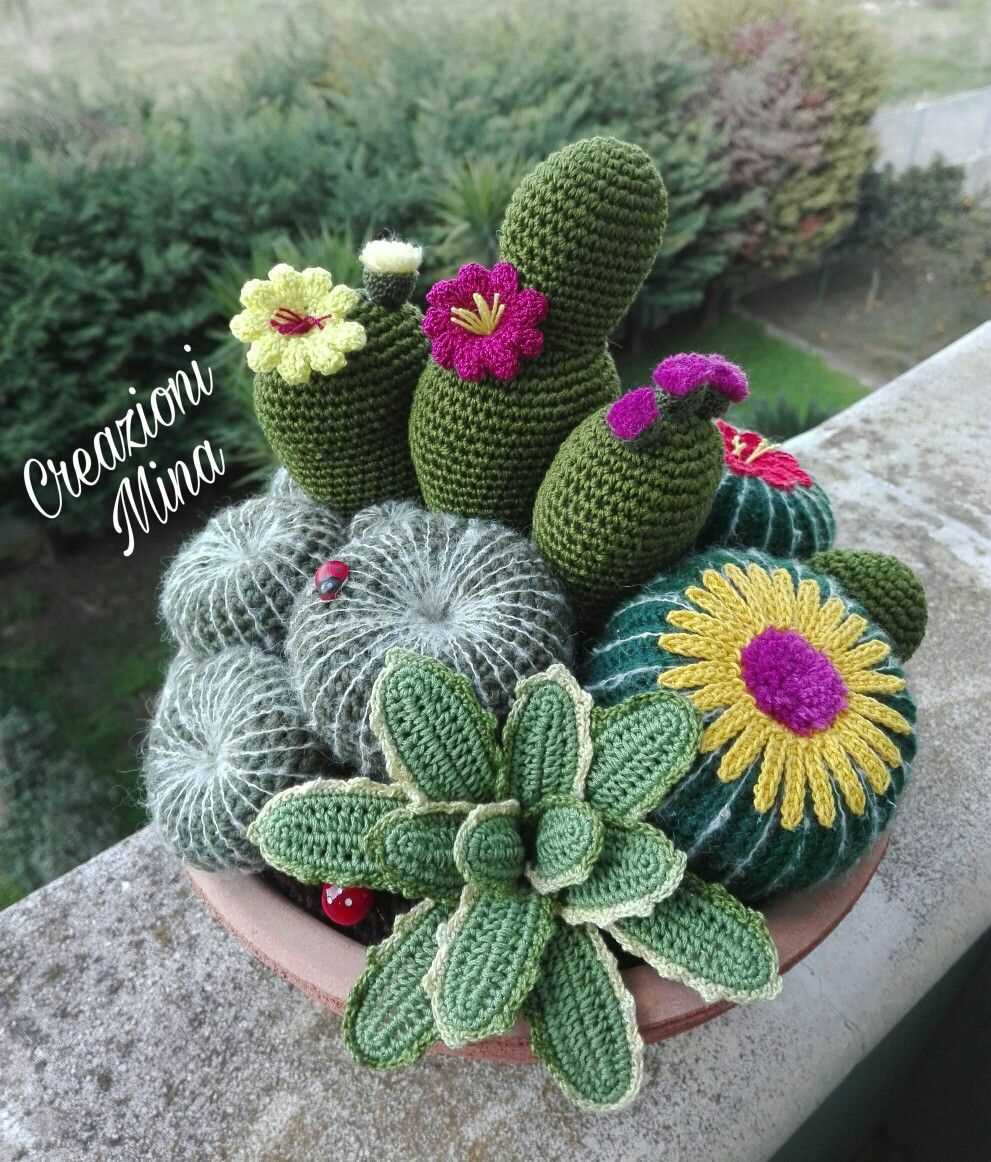 Knitted cactus plant pattern free