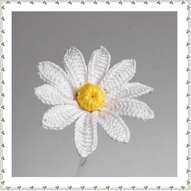 Knitted daisy pattern