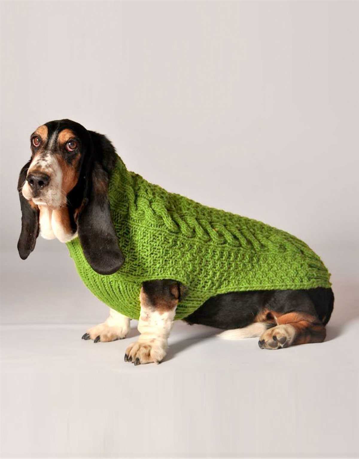 Knitted dog collar pattern