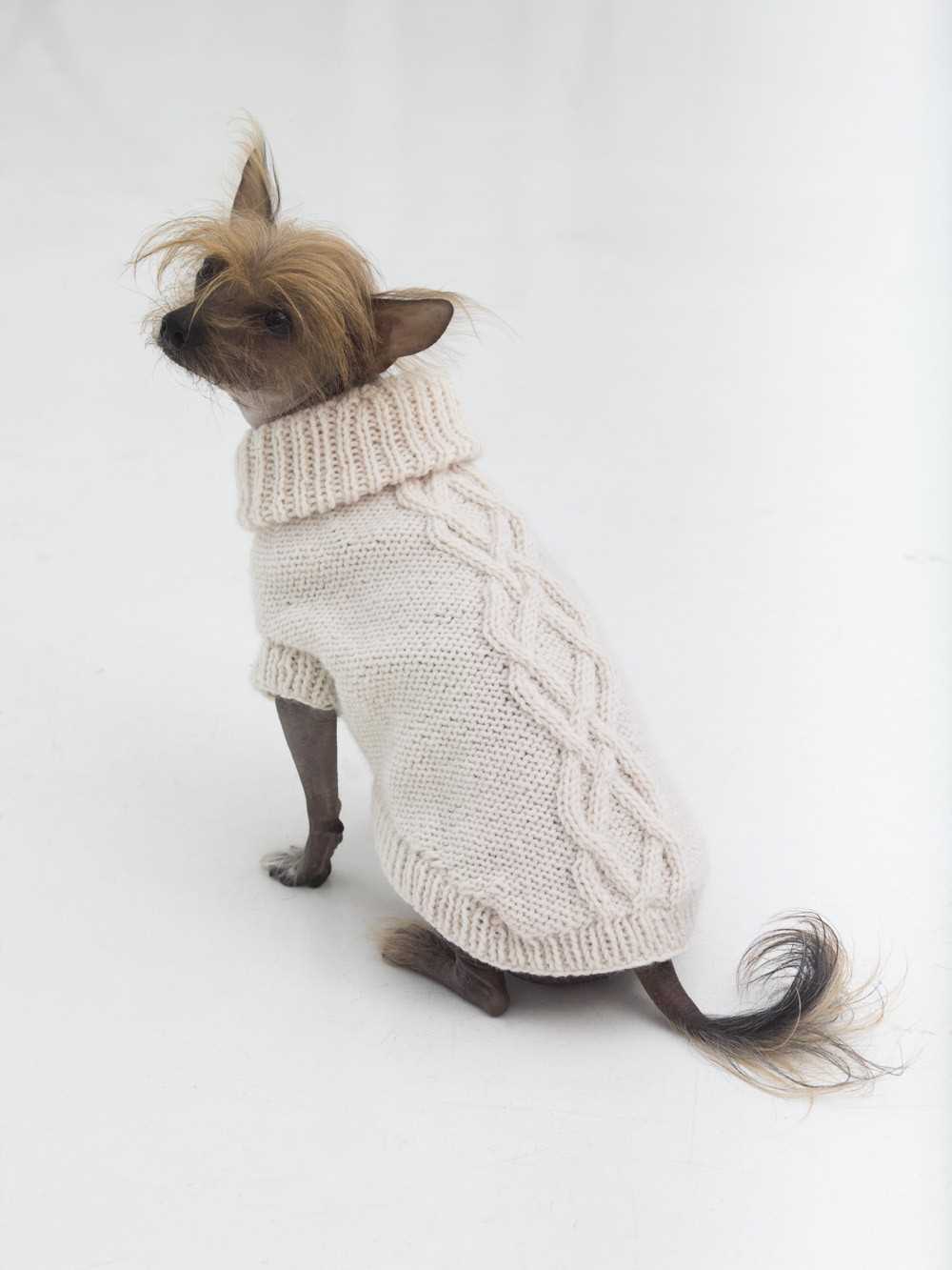 Knitted dog harness pattern