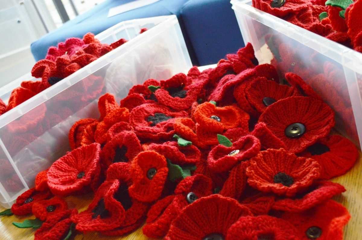 Knitted poppies patterns