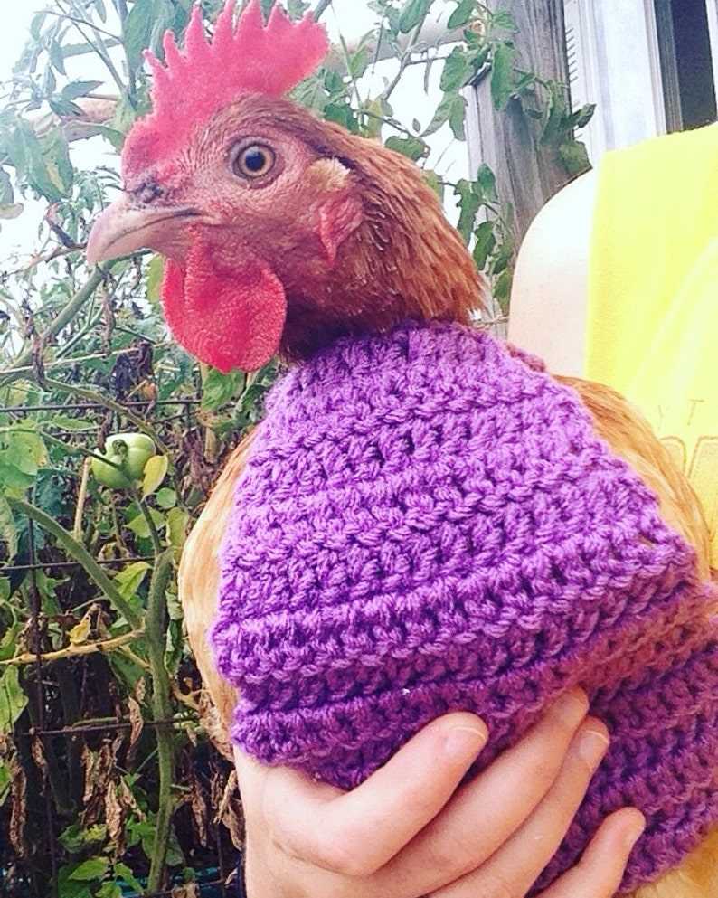 Knitting pattern for chicken jumpers