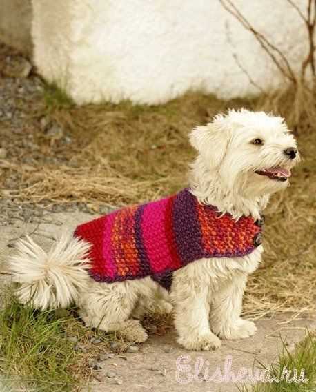 Knitting pattern for dog coat free