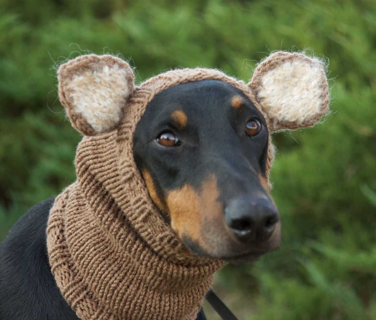 Knitting pattern for whippet snood