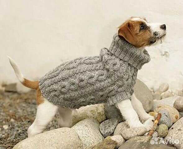 Knitting patterns for dog coats medium