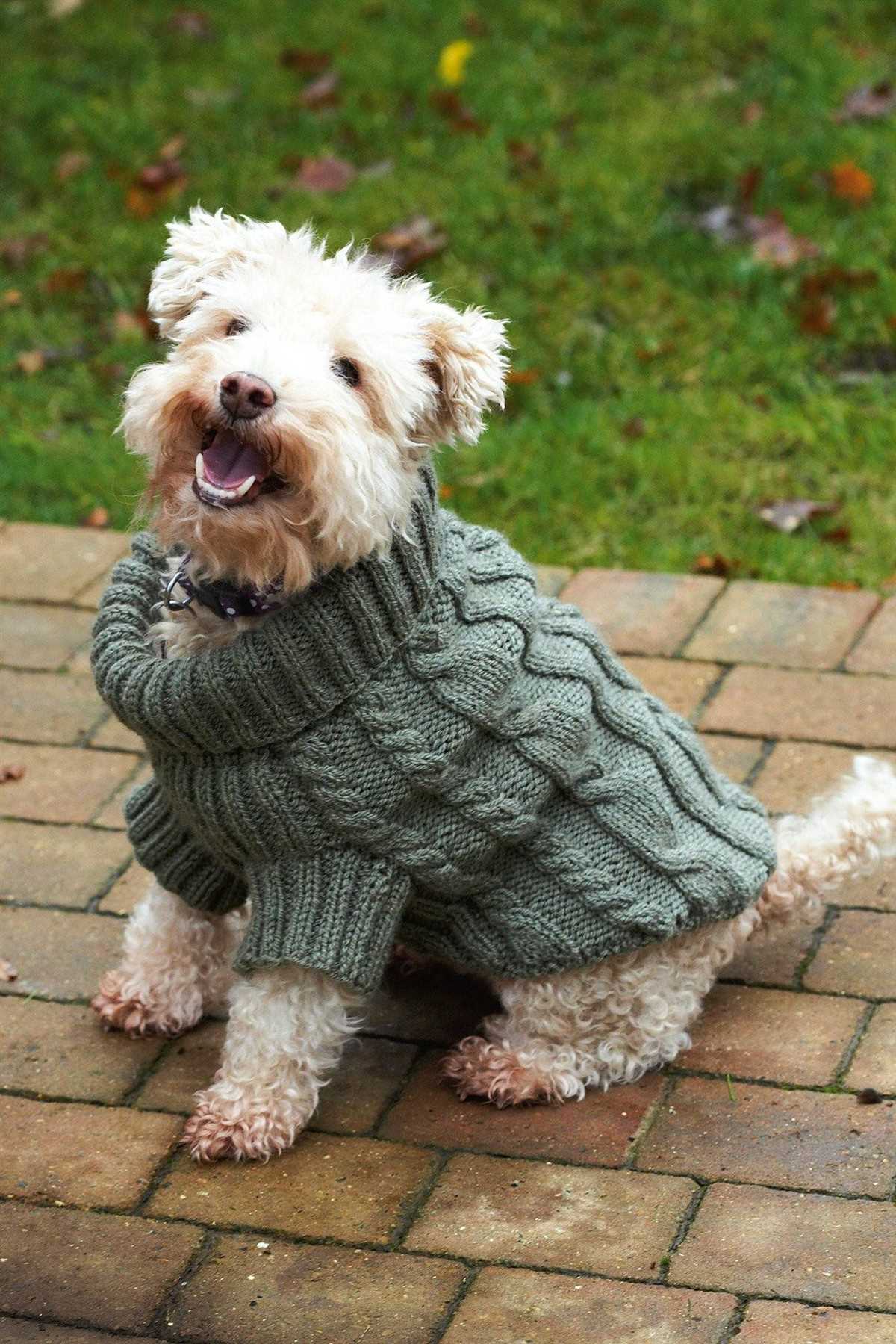 Knitting patterns for dog coats medium