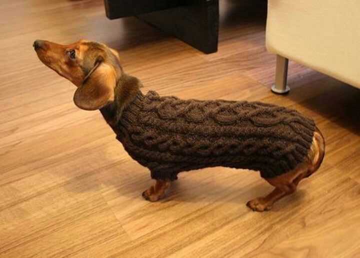 Knitting patterns for dachshund dog sweaters