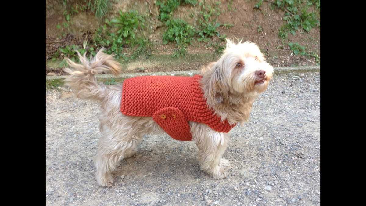 Knitting patterns for dog jerseys