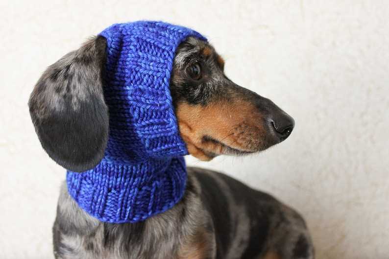Knit hat for dog pattern