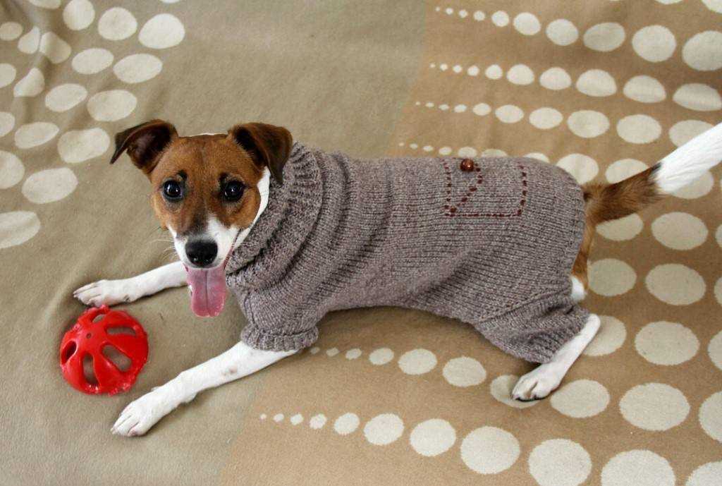 Xl dog sweater knitting pattern