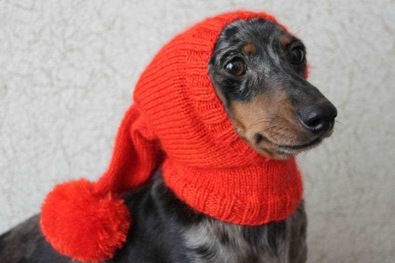 Dachshund knitting pattern