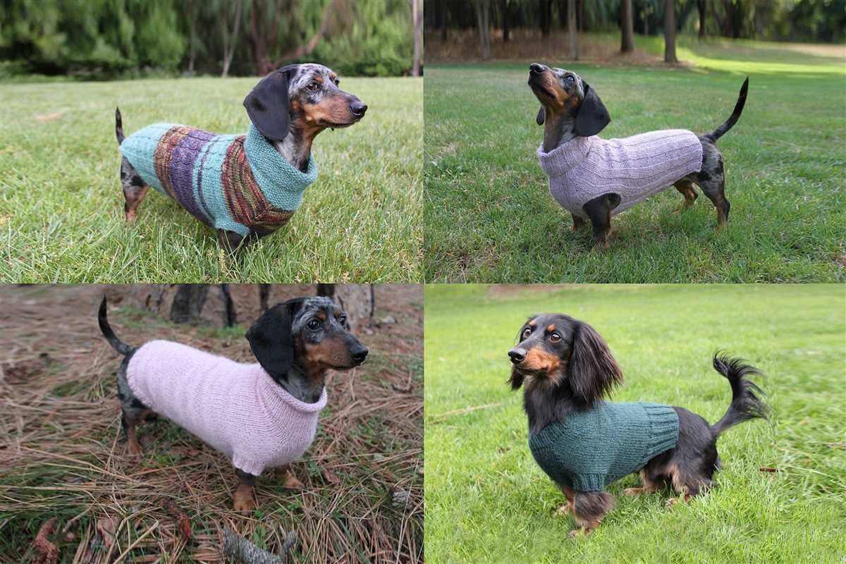 Miniature dachshund jumper knitting pattern free