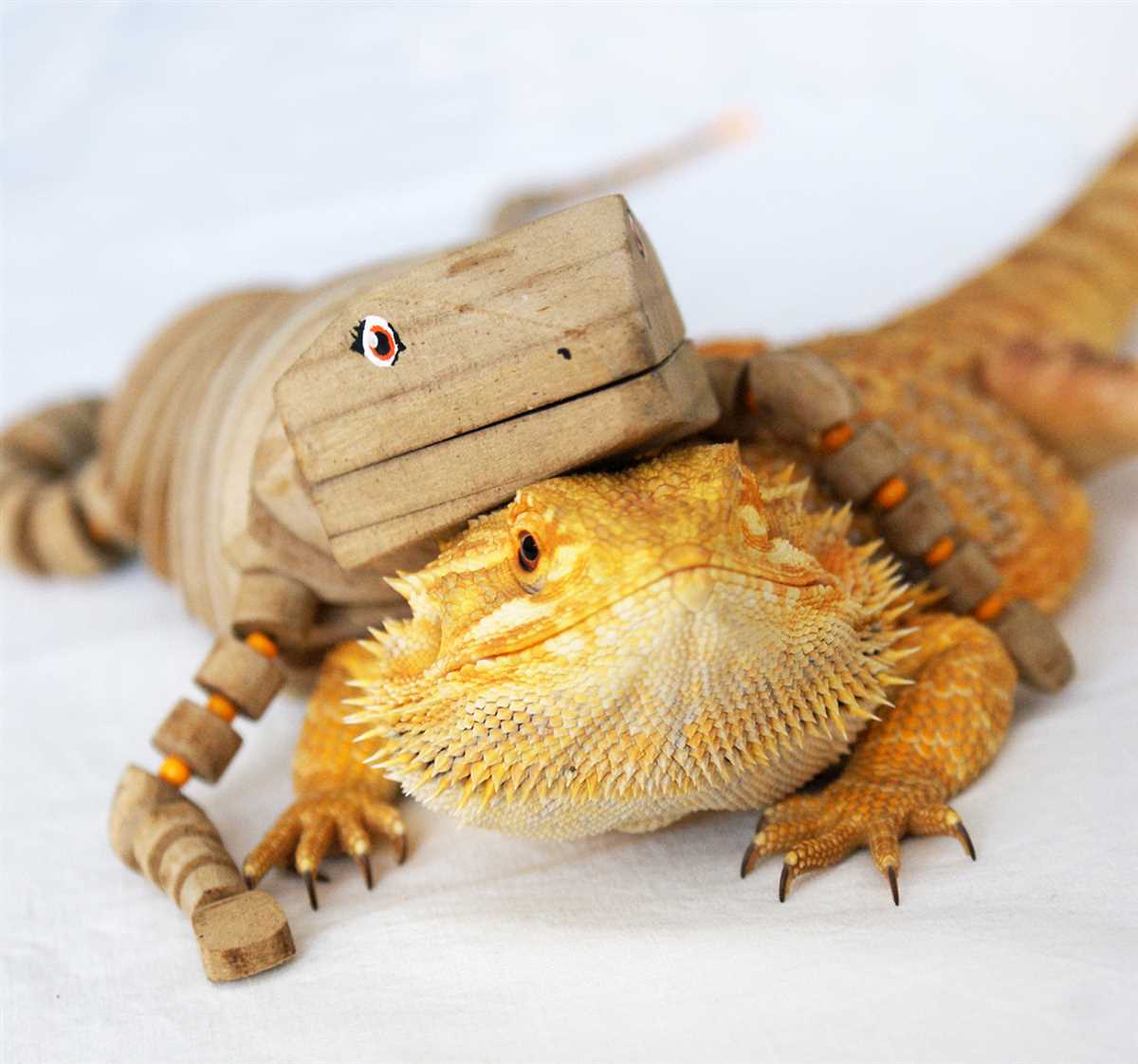 Bearded dragon knitting pattern