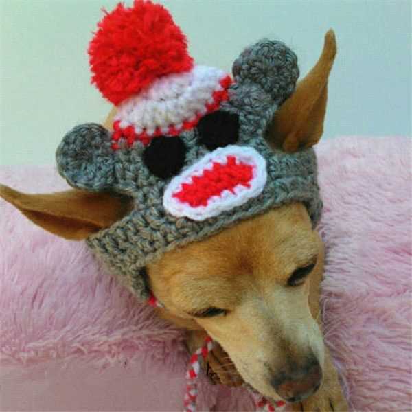 Christmas dog hat knitting pattern