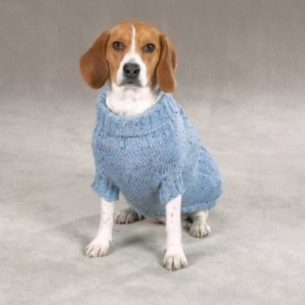 Large dog knitted sweater pattern