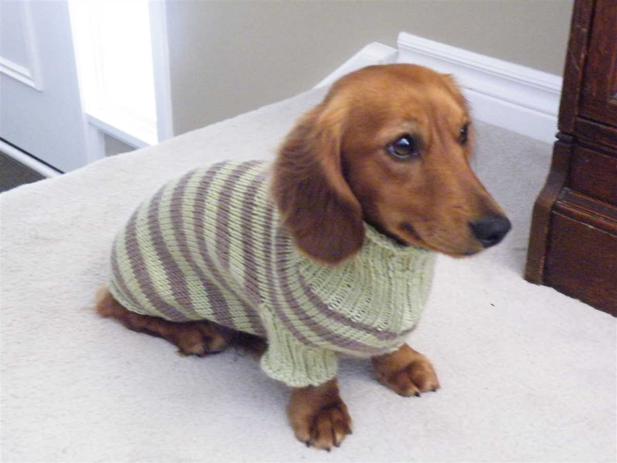 Dachshund knitting pattern