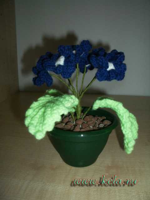 Primrose knitting pattern