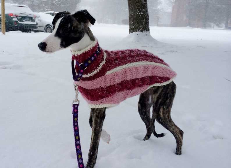 Greyhound coat knitting pattern free