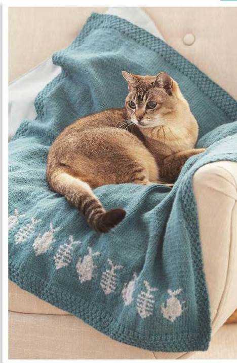 Pet blanket knitting patterns