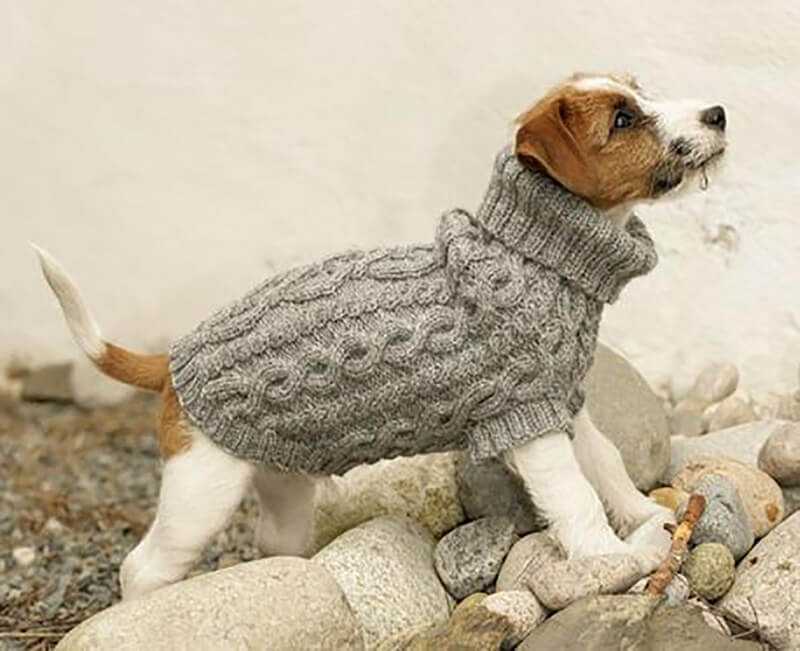 Beginner easy knit dog sweater patterns free