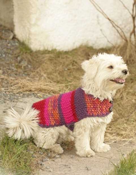 Striped dog sweater knit pattern