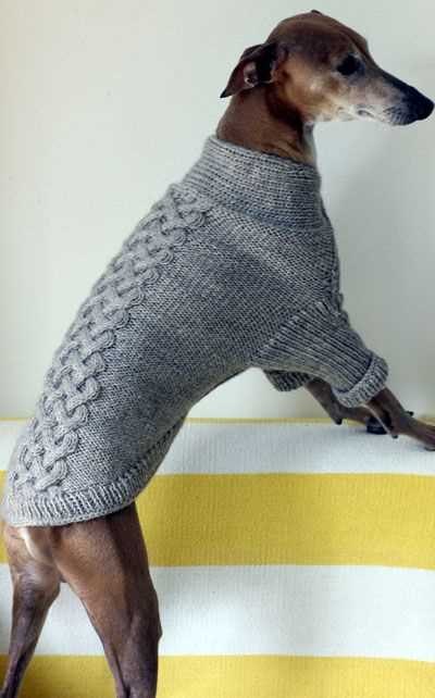 Greyhound jumper knitting pattern